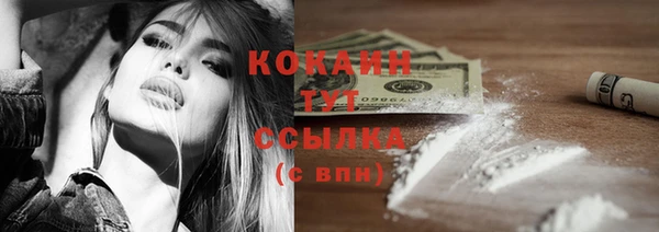 твердый Верхний Тагил