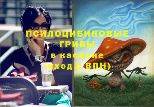 твердый Верхний Тагил