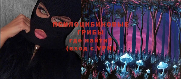 твердый Верхний Тагил